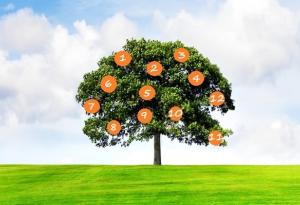 Тест: Вижте какво ви чака в бъдеще според дървото на желанията