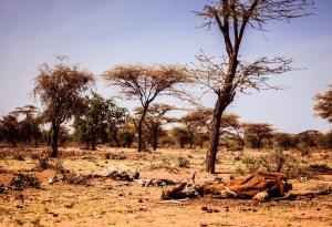 Новият доклад на IPCC предупреждава за необратими въздействия на глобалното затопляне