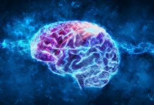 Геро Мийзенбьок предлага една нова гледна точка за мозъка