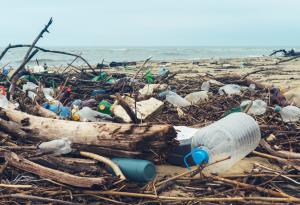 Алехандро Дуран: Как използвам изкуството, за да преборя пластмасовото замърсяване в океаните ни