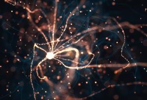 Всеки нов спомен уврежда мозъчните ви клетки