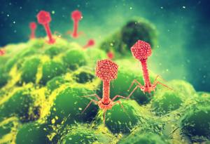 Как отдавна забравен вирус може да разреши кризата с антибиотиците