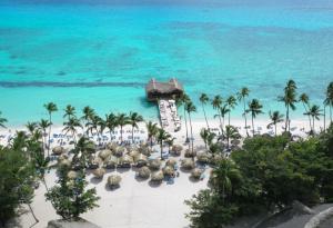 Изследователи откриха рядък вид палма, която цъфти под земята