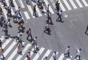 Лъжата, в която живеем. Това е твоята история. Нашата история