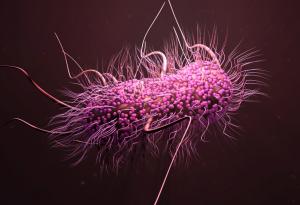 Магнитни бактерии могат да бъдат използвани в борбата с ракови образувания