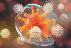 Как работи имунната система