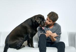 Кучетата могат да откриват посттравматичен стрес по дъха на хората