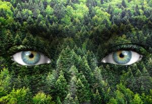 Фаина Раневская за лъжливостта а външния вид