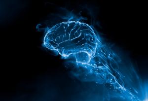 Избирателната памет съществува