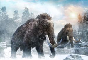 Археолози откриха мистериозни кръгове от кости на мамути в Русия