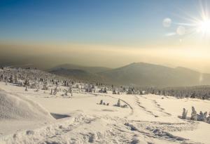 Обширни части от Сибир замръзват при температури под минус 58 градуса Целзий 