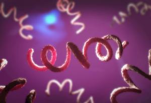 Палеонтолози доказаха, че сифилисът се е появил първоначално в Америка