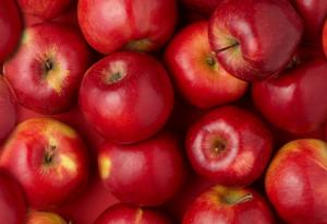 Как климатичните промени могат да „убият“ червените ябълки