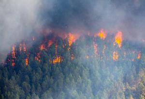 Изменението на климата увеличава честотата и мащаба на пожарите