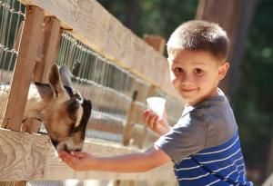 4 идеи за пролетната ваканция