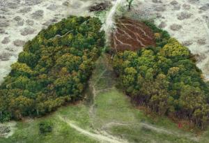 WWF: България навлезе в екологичен дълг