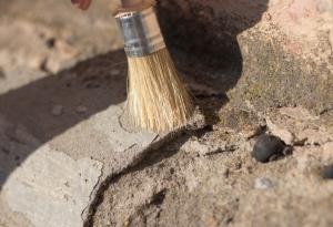 Откриха яйце на 68 млн. години край бреговете на Антарктида