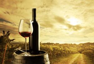 5 + 1 факта за балканските вина, които (може би) не знаете