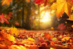 Октомври 2023 е един от най-топлите октомврийски месеци за последните 90 години 