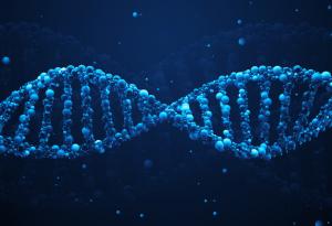 Човешкият живот може би има предел и той е 115 години