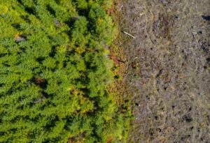 Всяка пета държава е застрашена от екологичен колапс