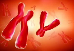 Загубата на Y хромозомата може да обясни защо някои мъже умират по-рано от жените