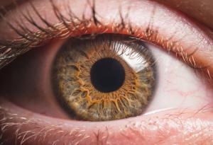 Съществува връзка между размера на зениците и човешкия интелект