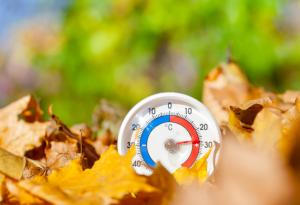 Ноември 2020 г. – най-топлият в инструменталната история