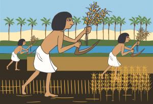 Ето с какво са се хранили хората преди появата на земеделието