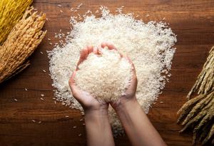 Мит: Повече въглероден диоксид в атмосферата подпомага растежа на растенията