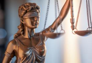 Как новото право на човека на здравословна околна среда може да ускори борбата с изменението на климата?