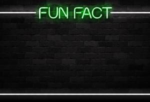 5 любопитни факта