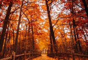 Октомври 2020 – най-топлият в Европа поне от 1979 г. насам