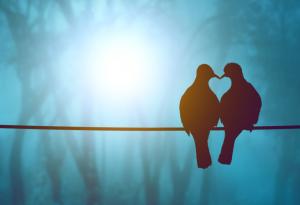 Хенри Милър: забравяме, че имаме криле