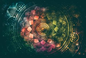 Какво е социална екология?