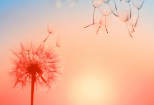 Кристофър Морли за успеха