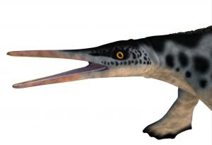 Древно морско влечуго е използвало начин на хранене, типичен за съвременните китове