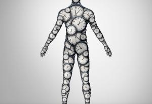 Колко е дълъг човешкият живот без намесата на медицината?