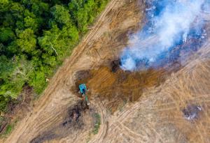 През 2020 г. са убити рекорден брой природозащитници