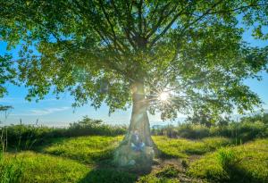 Мислите си, че можете да си избирате Бог, както се избират ботуши?