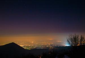 Светлинното замърсяване убива гризачите