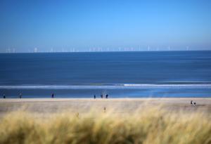 Пясъците под Северно море – ключ към съхранението на въглероден диоксид