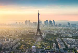 Виц: Полет до Париж