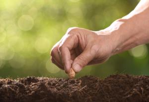 Притча: Семето на императора