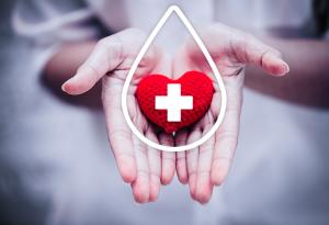 "Пирогов": 227 безвъзмездни кръводарители получават „Отличен 6“ в тест по човечност!