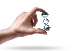 Успехът в живота зависи от наследствеността