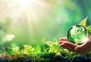 Гьоте: природата никога не греши