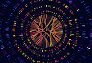 Бари Шулър: Въведение в геномиката