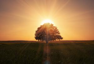 5 x 5 или как да изживеем новата година наистина различно