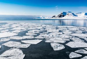 Микропластмасите във водорасли под арктическия лед заплашват хранителната верига на хората